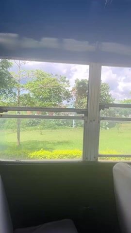 The video shows the view from inside a vehicle, likely a bus, looking out of the window. The window has a grid-like pattern created by the frame. Outside, there is a grassy area with trees and a building in the background. The sky is cloudy. As the video progresses, several people wearing head coverings come into view outside the window. They are standing and appear to be posing for a photograph. The interior of the vehicle has gray seats and a dark blue ceiling.