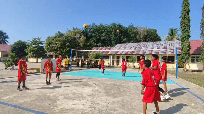 Morning scenes in Blangriek: volleyball game and tree canopy