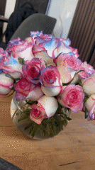 Witness documents salon visit, street scenes, roses over 31 minutes