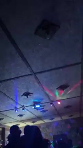 The video shows a low-angle shot of a ceiling in what appears to be a dimly lit club or party venue. The ceiling is made of rectangular panels with visible seams, possibly plywood. There are several dark, spider-shaped decorations attached to the ceiling.  Several lights are mounted on the ceiling, emitting colorful beams of light – red, green, and blue – that move and create a dynamic, festive atmosphere.  The foreground shows the silhouettes of people, indicating a crowd is present. There is also some indistinct background noise.