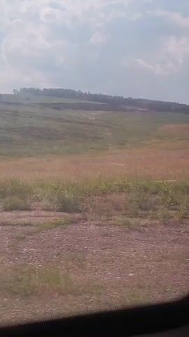 This is a video taken from inside a vehicle, looking out a window at a rural landscape. The scene is dominated by rolling fields of dry, golden grass and some patches of green vegetation. In the distance, there are more fields, some appearing cultivated with light brown tracks or paths visible. The horizon is marked by a line of trees or shrubs on a gentle slope. The sky is a clear blue with scattered white clouds, suggesting a fair weather day. The time of day appears to be daytime, likely late morning or early afternoon, given the lighting.

The video shows a sense of travel or movement, as the landscape drifts past the window. There are no people or specific objects clearly visible within the frame, other than the interior of the vehicle which frames the view. The overall mood is one of peacefulness and natural beauty. The location is identified as Bazhir, Russia. No text is visible in the video.