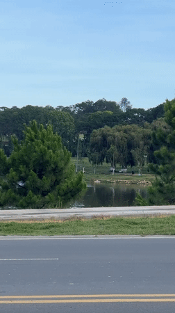 Masked pedestrian spotted near lakeside road in Da Lat