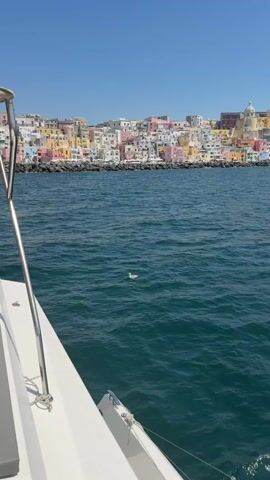 A boat is on the water, heading toward a colorful town on a sunny day. A lone seagull floats in the water, unbothered by the boat.