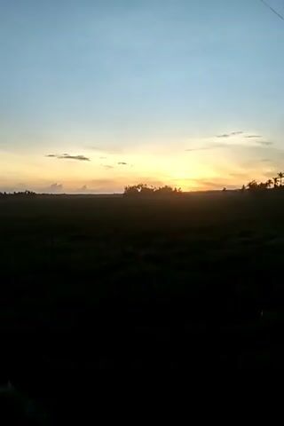 A video captures a rural landscape at dusk. The sky transitions from a pale blue to hues of yellow and orange as the sun sets behind a distant line of trees. The foreground is dominated by a dark, silhouetted field, likely agricultural land. The overall impression is one of natural beauty and tranquility.