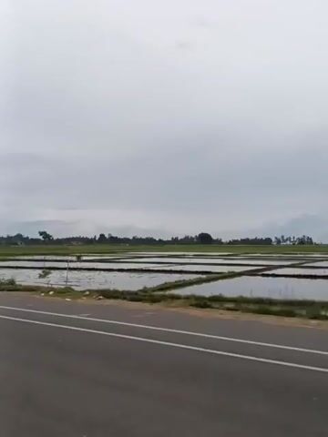 The video shows a view from a moving vehicle on a paved road with white lane markings. The road appears to be a highway with two lanes in each direction separated by a median. On the right side of the road, there are flooded agricultural fields, likely rice paddies, with some vegetation and trees in the distance. On the left side, there are more trees and some buildings. The sky is overcast. A scooter is seen passing by in the distance. The video pans slightly to the right throughout.