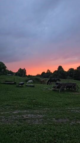 The video shows a rural landscape at dusk. The sky is a deep gray with hues of orange and pink from the setting sun visible along the horizon. In the foreground, a grassy field stretches out, with some patches of darker soil. A wooden cart with large wheels sits in the middle of the field. To the left of the cart, there are two horses, one dark brown and the other lighter in color, grazing. Further to the left, there are several wooden troughs or feeders. In the distance, a line of trees forms a dark silhouette against the colorful sky. A dog, lying down and facing away from the camera, is visible in the lower right corner of the frame. The overall impression is of a peaceful, pastoral scene at the end of the day.