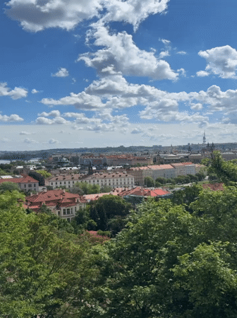 Morning documentation of Prague's rooftops and historic architecture