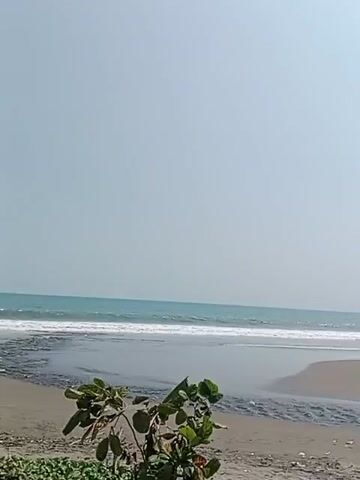 The video shows a serene beach scene under a clear, pale sky. Gentle waves roll onto the sandy shore, creating a white foamy line. In the foreground, a small stream or river empties into the sea, its dark water contrasting with the lighter sand. Some green foliage is visible on the left side of the frame, adding a touch of nature's vibrancy to the otherwise muted palette. The overall atmosphere is peaceful and tranquil, suggesting a quiet moment by the ocean.