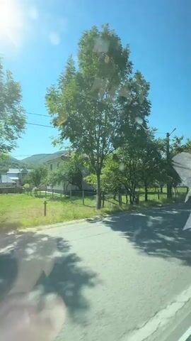 The video shows a view from inside a vehicle moving along a paved road. On the left side of the road, there is a tall wooden pole with wires running overhead and a large tree with green foliage casting shadows on the road. In the background, there are more trees, a fence, and a glimpse of a house. The sky is clear and blue with bright sunlight creating lens flare. As the vehicle continues, a large tree with dark green leaves becomes the central focus, with more trees and vegetation visible behind it. Further along, a multi-story building with a distinctive roof and a stone wall in front of it comes into view. The video ends with a clear shot of this building and the surrounding landscape under a bright sunny sky.