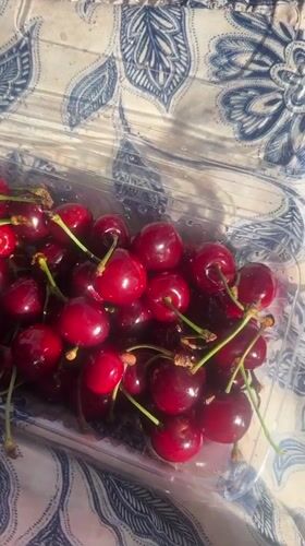 Fresh cherries displayed in container in Asgaour, Morocco