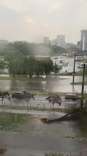 Severe thunderstorm floods Lviv streets, topples trees