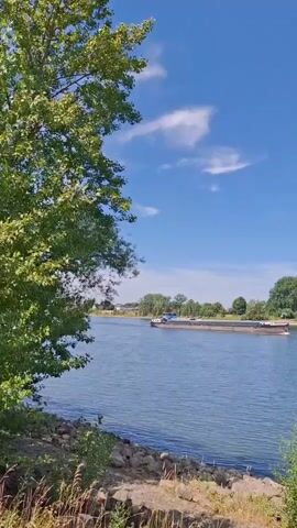 A video begins with a wide shot of a river on a sunny day. The river is calm and blue, with a barge moving slowly in the distance. On the left bank of the river, there is a large tree with green leaves. The sky is clear and blue with a few wispy clouds. The camera pans up to show more of the sky. A small red helicopter appears and flies across the screen from left to right. The video ends after the helicopter has flown out of frame.