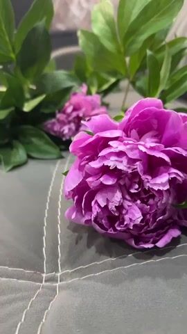 A close-up shot focuses on vibrant pink peonies and their lush green leaves resting on a textured gray surface, possibly a piece of fabric with stitched patterns. The flowers and foliage are arranged in a diagonal line across the frame, with one prominent peony in the foreground drawing the viewer's attention. Its petals are intricately layered and display a rich fuchsia hue, slightly blurred due to the shallow depth of field. Behind it, several other peonies and a tangle of leaves create a softer, less defined background.

The setting appears to be indoors, with hints of furniture visible in the background—specifically, what looks like the armrest and cushions of a gray sofa. The lighting is soft and diffused, suggesting natural light from a window or a gently lit indoor environment. There's no indication of the time of day or weather conditions.

The overall mood conveyed by the image is one of natural beauty and tranquility. The focus on the delicate details of the peonies, coupled with their vibrant color, evokes a sense of serenity and appreciation for nature's aesthetics. The scene is static, with the activity being simply the presentation of the flowers. No people are visible, and there is no text present in the media file. The location context of Soloneshnoye, Russia, provides geographical information but does not directly influence the visual elements of the scene itself.