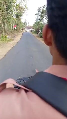 The video shows a person riding a motorcycle on a paved road. The camera is positioned behind the rider, facing forward. The rider's head and shoulders are visible in the foreground, and they are wearing a light pink shirt and a dark backpack. The road curves to the left and extends into the distance, with trees and foliage lining the sides. Several small Indonesian flags are visible on poles along the right side of the road. The sky is overcast. The rider's hands are on the handlebars, and their right hand is blurred due to motion. The video is short and appears to capture a moment of travel.