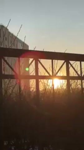 The video shows a low-angle view of the sun rising behind a wooden fence and some tall grass. A multi-story building is visible in the background on the left. The sun is bright and low in the sky, casting a strong glow. The fence is simple and dark, made of horizontal and diagonal wooden planks. The grass is dense and obscures the ground behind the fence. The sky is a pale blue, and there are no visible clouds.