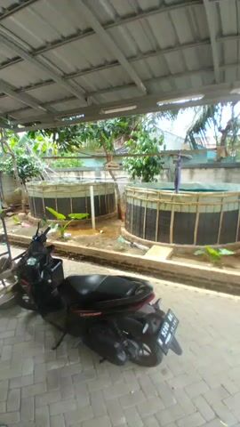 A black scooter is parked on a brick-paved area. Behind the scooter, there are two large, circular tanks set up for aquaculture, possibly for fish or shrimp farming. The tanks appear to be constructed with a wooden frame and a dark-colored liner. One tank has a blue tarp covering part of it. There are some plants growing around the tanks, and a covered structure with a metal roof and fluorescent lights is overhead. The environment appears to be outdoors in a tropical or subtropical climate, indicated by the lush greenery and palm trees in the background. The overall scene suggests a rural or semi-rural setting where aquaculture is being practiced. There are no people visible in the frame.