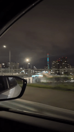 Evening memories capture nighttime drives and playful dog moments