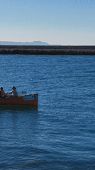 Rowing crews and tourists enjoy sunny afternoon in Dénia