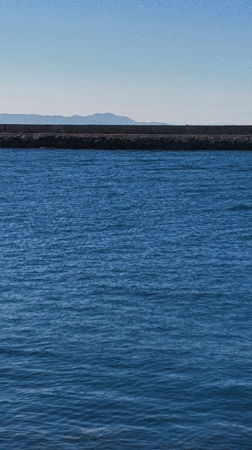 Rowing crews and tourists enjoy sunny afternoon in Dénia