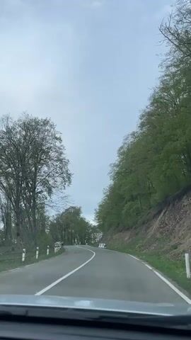 A car travels along an asphalt road in a mountainous region, its view framed by the vehicle's dashboard. The road is lined with trees, predominantly green and lush on the right, while the left side features trees with fewer leaves. A solid white line marks the road's center. Guardrails are visible on the left, and concrete barriers line the right. In the distance, a parked car can be seen on the side of the road. The sky is overcast. The camera perspective is from inside the car.