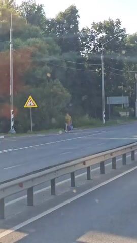A person is walking on the side of a road. The person is carrying two bags. There is a traffic sign on the side of the road. The sign is a yellow triangle with a red and green circle in the center. There are trees in the background. The road is asphalt and has white lines. A metal guardrail is in the foreground.
