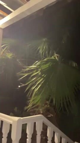 A palm tree is visible against a dark sky. A white railing is in the foreground. A faint light appears in the distance. The sky darkens and then flashes with lightning.