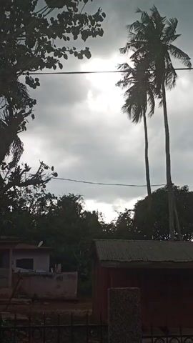 The scene displays a cloudy sky with visible tree silhouettes, including palm trees, and a glimpse of buildings underneath. Power lines stretch horizontally across the frame, partially obscuring the view. The sky is heavily overcast with a diffused sunlight trying to penetrate through the cloud cover. The buildings below appear to be modest structures with corrugated roofing, and are partially obscured by foliage.