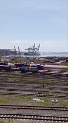 Industrial rail yard observed with blooming tree on sunny day