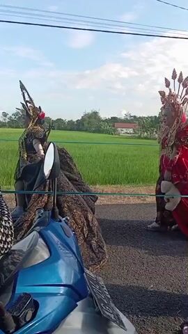 Here's a concise description of the video:

The video shows a woman wearing a brown hijab and a black and white patterned long-sleeved shirt taking video with her smartphone of people in ornate traditional costumes. The performers are walking along a road next to a rice field. Some are wearing gold and black costumes while others are wearing red costumes. Several scooters are parked on the side of the road. The sky is blue with some clouds. There are power lines overhead. The audio contains music with a strong beat.