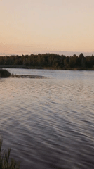 Dusk settles over a reed-lined lake in rural Ukraine