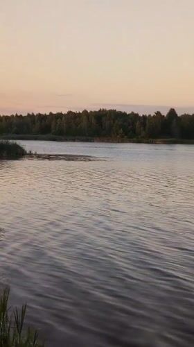 Dusk settles over a reed-lined lake in rural Ukraine