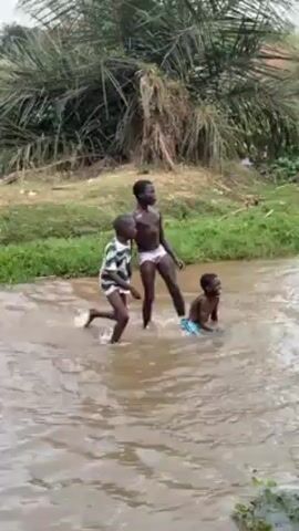 The video depicts four young boys playing in a shallow, muddy river. They are splashing water at each other and wading through the water. The boy closest to the camera is wearing only underwear. Another boy is wearing a white t-shirt. In the background, there is a group of people sitting on the riverbank, and a palm tree is visible in the upper left corner. The river is bordered by green vegetation.