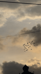 Flock of birds observed flying over Sukawati, Indonesia