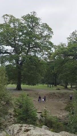 The video displays a nature scene with lush green trees and a cloudy sky. Several individuals are visible in the distance, walking along a path in a wooded area. In the foreground, a rocky terrain with small evergreen trees is prominent. The camera appears to be positioned on a higher elevation, looking down at the scene.