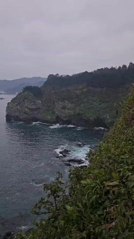 The video shows a rocky coastline on a cloudy day. The sea is dark and choppy, with waves crashing against the rocks. A forested cliff juts out into the water, and several small rocky islands are visible in the distance. The vegetation is lush and green, contrasting with the gray skies and dark water. The camera appears to be positioned on a high vantage point, looking out over the ocean. The scene is natural and undisturbed, showcasing a rugged coastal landscape.