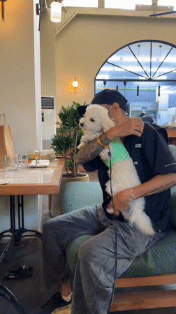 Family dines with pet dog at Ubud restaurant