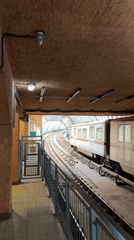 Passenger train observed at Sofia station platform