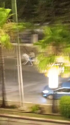 At night, a white horse with a rider is moving along a paved road. A blue car is in the foreground, and a white car is behind it. There are palm trees and streetlights visible. The rider is wearing a light-colored shirt and dark pants. The horse is wearing a saddle. The scene appears to be in an urban or suburban area with trees and buildings in the background.