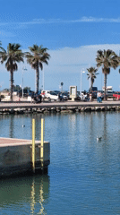 Casual afternoon moments captured around Dénia waterfront and streets