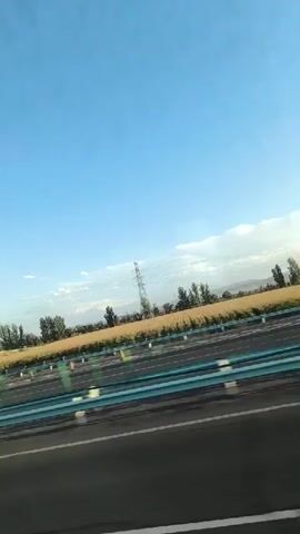 A low-angle, side-view shot captured from a moving vehicle shows a highway. The sky is blue with scattered clouds. To the right of the frame, a large red and white truck travels on the highway. To the left of the truck, fields of yellow crop extend into the distance, bordered by trees. Power lines and pylons are visible in the background. The highway features a blue and white guardrail and multiple lanes. Another dark-colored vehicle passes in the opposite direction, blurring as it moves. The timestamp "00:00" indicates the beginning of the recording.