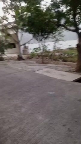 A shaky, low-resolution video shows an outdoor scene with a paved road in the foreground. A person, presumably the videographer, is walking on the road. To the left of the road is a building with red doors and windows. Several trees with green foliage are scattered throughout the scene, casting shadows. The ground is uneven with patches of dirt, gravel, and some vegetation. In the background, there is a body of water and more trees. The overall lighting suggests it is daytime, possibly overcast or late afternoon.