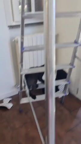 A black kitten is climbing a silver step ladder. The kitten is on the second step from the bottom and is reaching up with its front paws to grab the third step. The ladder is in a room with a tiled floor, a white wall, and a radiator. There is a window with white blinds in the background.