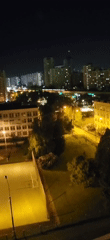 Evening domestic scenes: schoolyard, strawberries, cat captured by witness