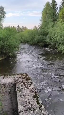 The video begins with a view of a flowing river surrounded by lush green trees and foliage. The water appears dark and is moving at a moderate pace. A concrete structure, possibly part of a dam or weir, is visible in the foreground on the left side of the frame, with moss or algae growing on its surface. The camera then pans to the right, showing a closer view of the water's surface, which has some white foam and ripples. The next shot reveals a wooden fence or railing along a concrete wall, with more foliage in the background. The camera continues to move, focusing on the river as it flows through a man-made channel. Another concrete structure, which appears to be a small waterfall or spillway, is clearly visible. The water is turbulent and frothy as it cascades over the edge. The video ends with a wider shot of this section of the river, showing the concrete walls and the waterfall. The overall environment is natural and somewhat rural, with evidence of human engineering in the form of the concrete structures. The lighting suggests it is daytime, possibly late afternoon, with a cloudy sky. There are no people or animals visible in the video.