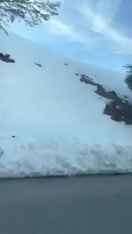 The video depicts a snowy landscape as seen from a moving vehicle. A road runs along the bottom of the frame, and on the other side of the road is a snow-covered hillside. A few evergreen trees dot the landscape, and the sky is blue with some wispy clouds. The snow appears to be quite deep, with large banks piled up along the roadside.