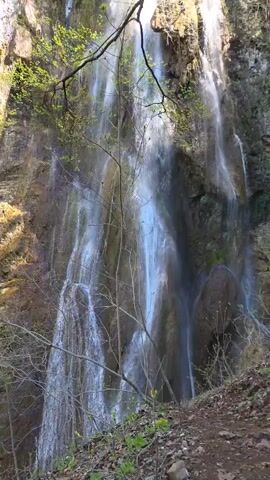 The camera captures a cascading waterfall amidst a verdant, rocky landscape. The water flows down a cliff face, creating multiple streams that converge and separate. Sunlight glints on the water, producing a shimmering effect. A tree branch with budding leaves partially obstructs the view, adding depth to the shot. The foreground consists of earthy ground covered in fallen leaves and small plants, suggesting a natural, untamed setting. The audio captures the sound of falling water, and a child's voice exclaiming about the waterfall.