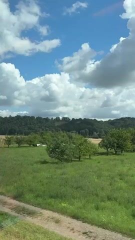The video shows a roadside scene with a tall, light brown pole in the foreground. A sign with the numbers "360" in yellow with black outlines is attached to the pole at eye level. The background features a green field with scattered trees and a forest-covered hill under a bright blue sky with puffy white clouds. A dirt path runs along the bottom left of the frame. The camera appears to be moving, possibly from a vehicle.