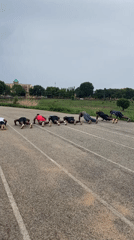 Group performs synchronized push-ups on Keffi running track