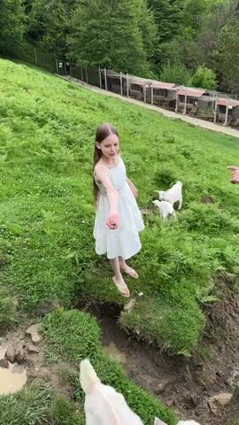 A girl in a white dress stands on a grassy hill, holding a handful of vegetation and trying to feed a group of small, white goats. She has long brown hair and is wearing sandals. Some of the goats are in the foreground, near a muddy ditch, while others are slightly further away up the hill. A man's arm is partially visible at the right of the frame, and he seems to be gesturing towards the goats. In the background, there are some long structures with wooden frames and brown roofs, possibly animal shelters. The setting appears to be a rural farm or pasture.