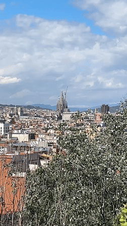 Aerial view captures Barcelona cityscape featuring Sagrada Familia basilica